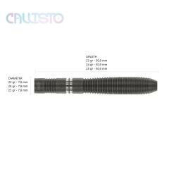 Winmau Callisto 2 %90 Tungsten Çelik Uçlu Dart Oku