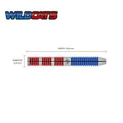 Winmau Wildcats %90 Tungsten 22gr Çelik Uçlu Dart Oku
