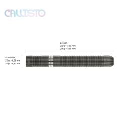 Winmau Callisto 1 %90 Tungsten Çelik Uçlu Dart Oku