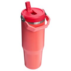 Stanley The IceFlow Flip Straw Pipetli Termos Bardak 0.89 Lt Mercan