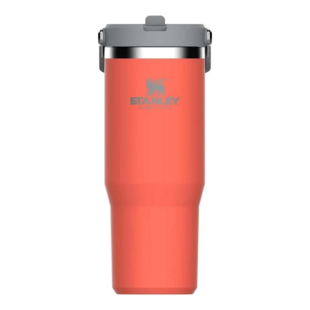Stanley The IceFlow Flip Straw Pipetli Termos Bardak 0.89 Lt Kavuniçi
