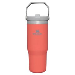 Stanley The IceFlow Flip Straw Pipetli Termos Bardak 0.89 Lt Kavuniçi
