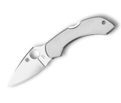 Spyderco Dragonfly Stainless Plainedge Çakı