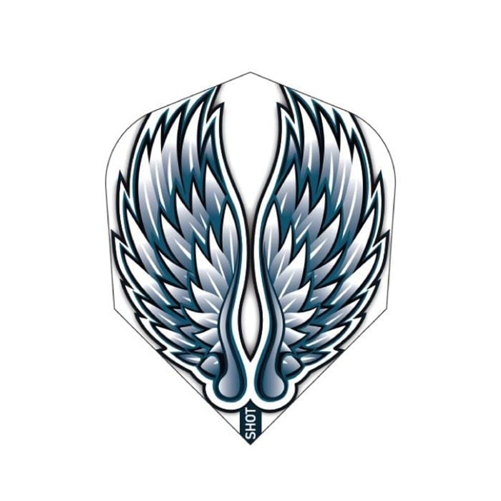Shot Birds of Prey Eagle Wings Dart Flight